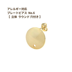 [ 10�� ] �v���[�g�s�A�X No.6 �y * ���� ���E���h * ��hole�t�� �z �m �S�[���h �� �n �T�[�W�J���X�e�����X �L���b�`�t�� P1-06 �� �J���t�� �p�[�c �����A�����M�[�Ή�