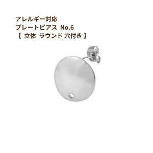 [ 20�� ] �v���[�g�s�A�X No.6 �y * ���� ���E���h * ��hole�t�� �z �m �� �V���o�[ �n �T�[�W�J���X�e�����X �L���b�`�t�� P1-06 �� �J���t�� �p�[�c �����A�����M�[�Ή�