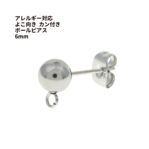 [20] RJt {[sAX 6mm m  Vo[ nT[WJXeX Lb`t ANZT[ p[c  P2-01