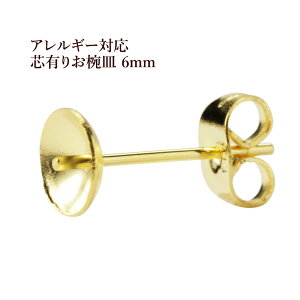 [10] * Z * cL oM sAX 6mm m S[h  n Lb`t T[WJXeX p[c AM[Ή P1-04