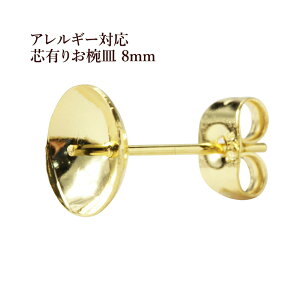 [20] T[WJXeX cL osAX 8mm m S[h  n Lb`t P1-04 ANZT[f