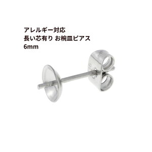 [10] *  * cL osAX 6mm m  Vo[ n T[WJXeX Lb`t p[c AM[Ή P1-04