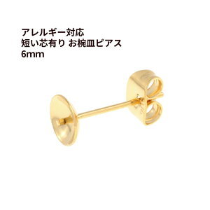 [20] * Z * cL oM sAX 6mm m S[h  n Lb`t T[WJXeX p[c AM[Ή P1-04