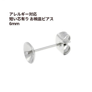 [20] * Z * cL oM sAX 6mm m  Vo[ n Lb`t T[WJXeX p[c AM[Ή P1-04