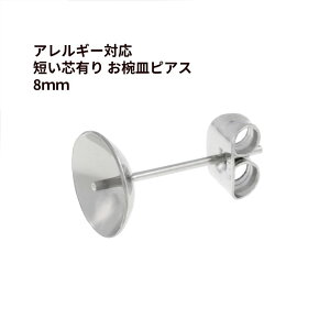 [10] * Z * cL oM sAX 8mm m  Vo[ n Lb`t T[WJXeX p[c AM[Ή P1-04