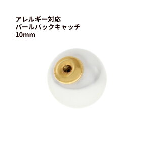 zCg p[ sAXLb` 10mm [ S[h  ] T[WJXeX p[c obNLb` AM[Ή P2-03