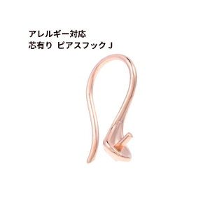 [10] cL sAX tbN J [  sNS[h ] T[WJXeX p[c AM[Ή P3-01 ANZT[p[c sAXp[c