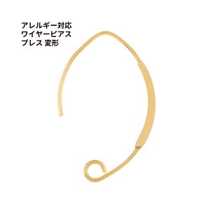 [50] C[sAX * vX * ό` [ S[h  ] T[WJXeX  p[c AM[Ή P3-05