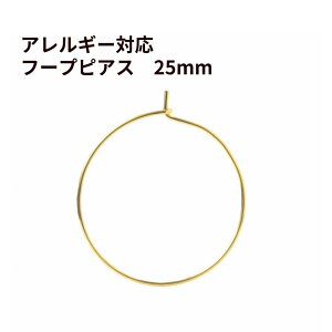 [10] Ђ^Cv t[vsAX 25mm [ S[h  ] T[WJXeX ANZT[ p[c  A P3-04