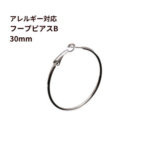 t[vsAX B 30mm m  Vo[ n T[WJXeX Vv p[c AM[Ή P3-04