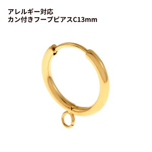 * Jt * t[vsAX C13 m S[h  n T[WJXeX Vv p[c AM[Ή P3-04 ANZT[p[c sAXp[c