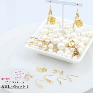 sAXp[c  y 4_Zbg B z [ S[h  ] T[WJXeX p[c AM[Ή