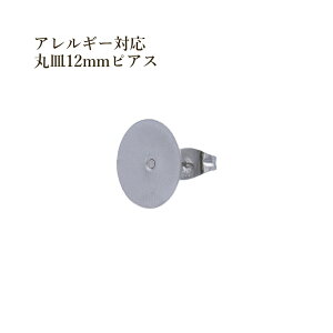 [10] ێM12mm sAX [  Vo[ ] Lb`t T[WJXeX P1-01 p[c AM[Ή