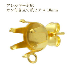 [10] Jt Ē 10mm sAX m S[h  n T[WJXeX Lb`t ΍ Θg P2-02 p[c AM[