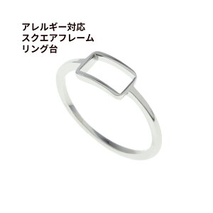 w֑ XNGA t[ O * A * m  Vo[ n T[WJXeX g W  p[c AM[Ή O-02