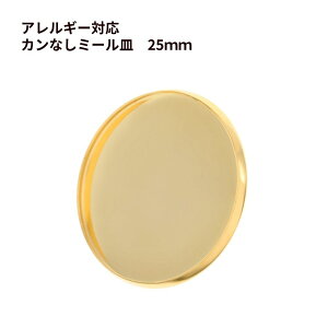 m10n XeX J * ~[M * 25mm m S[h  n p[c W  AM[ Ή M2-05