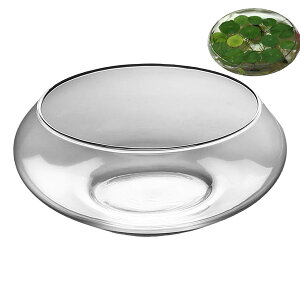 KX  ԕr - nChJ`[ Aؔ | ی^ChpԑAԕr EFfBOz[tFXeBue[uZ^[