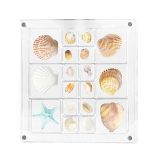 ANCLk{bNXCAANCLkfBXvC{bNX | ANLkfBXvC{bNX  | LkqgfAȃNtgI[KiCU[{bNXA傫ȃfBX