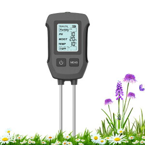 y둪, fW^y됅v, 5--1y됅엀xoƒneXguʎ_p