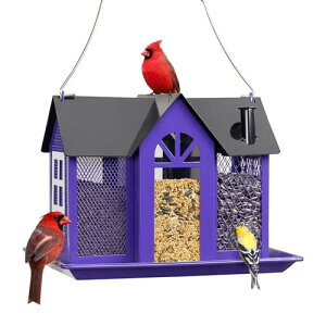 nEXVFCv nMOo[htB[_[ARp[gg e O ̑AO a X n`h CG[