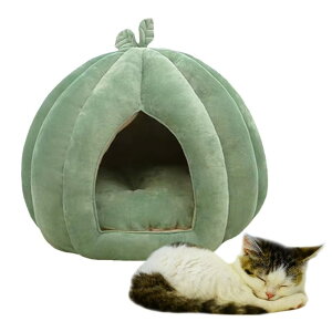 pvLLbgxbh 킢J{`^ L A Leg O\ȃNbVt LbgnEX xbh gX[sOxbh Lp ^p O[