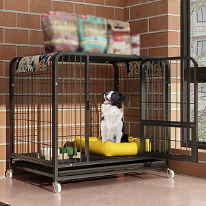 pN[g ^ pN[g @\ hA ogC  ` `[u ړv[[ rO[ Q oRj[ɍœK zCg . cm x . cm x . cm