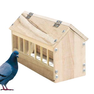 EY a,pGTfBXyT[ | ؐ Ƌ a nEX^ ʂȂ { Aq Ih p