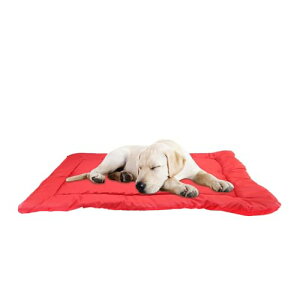 AEghAppxbh - 傫ȃTCỶOpybg}bg,Op yʐ݌vŎ^ъȒP