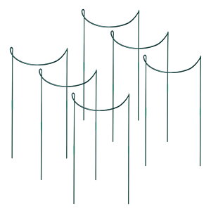 vgXe[N - 6{ n[tEh Ax OXe[N - hK A s z_[  | ANZT[ tFXAp