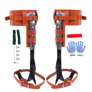 c[NC~O XpCN, v ؓop JbeBO Xp[, l̍HwI \ AEghA NG[V ANZT[AAؒfAʎǗA|Ap