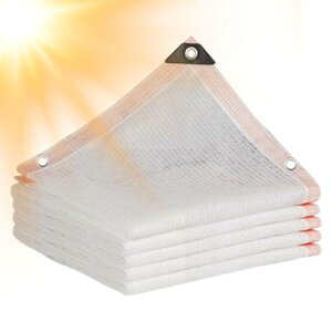 K[fVF[hNX,TVF[hlbgz K[fVF[h^[v - Mی상bV^[v Obgt 艷Jo[ lbg  oRj[ ʘHp