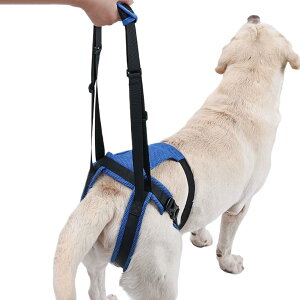 p ㎈ T|[gn[lX - ybgprT|[g wی,\ ybg reB c[ グ⏕ オ s T|[g