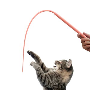 Lbg h ,ݖh~ VR[ C[  | ybg̐_IȖL߂ V Wv V~[V  G^[eCg