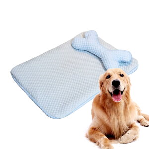 pN[}bg,ybgpp}bg | ϖՐybgpx}bg tA rO \t@ ԓp