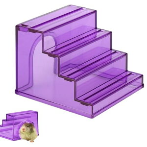 nX^[ ͂ -  P[W _[ Qr fO[ tFbg | In ~ o  ^ h V ybg 