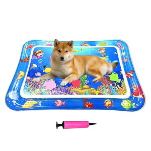 LpEH[^[}bg | ×cm Lp V oV }bg pNbV  ܂Ƃ,hNbV Osp Lpp