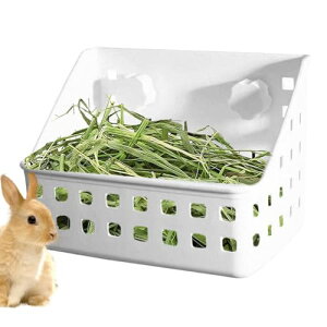 `` qtB[_[ - fBXyT[ | qXg[WoXPbg P[WANZT[ ybgpi ETM `` nX^[p OΉ