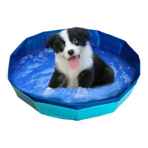 ܂肽݃v[ - ybg Vуv[ - PVC ~ ܂肽 |[^u oX^u ybg  L q p