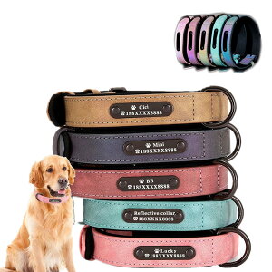 JX^̎ցA˃U[̎ p[\iCYl[v[g TCY߉\ ^A^A^(VAAXS)