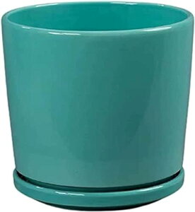 AؔgCt̑傫ȓ픫t@bVϗtA傫ȌAȂk̃~j}XgZ~bN΂̐AfXNgbvAؔ (17CM,u[)