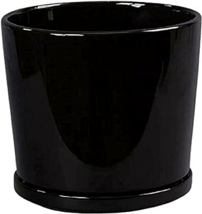 AؔgCt̑傫ȓ픫t@bVϗtA傫ȌAȂk̃~j}XgZ~bN΂̐AfXNgbvAؔ (17CM,u[)