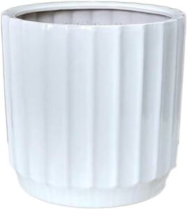 eRb^ Aؔ M  Vv ~` ɐ vX`bNgCt c A A  K[fjOpi CeCAKp  K[f [ u 