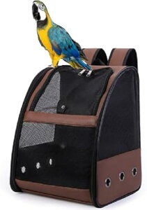  ybg L[obO uE ~܂ؕt bN o[h CR IE L  o ړ s ʉ@ ً}  ʋC y (A)