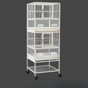  ^̃CRP[W 傫ȋIEo[hP[WIJCRCRJiAuo[h؃P[W  |₷ tB`zC[ƃIEP[Wybgo[hP[W (2