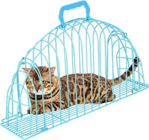 u[ L P[W L C bV P[W L O[~O C P[W L  g~O P[W L O[~O P[W L V[ qL C P[W H ()