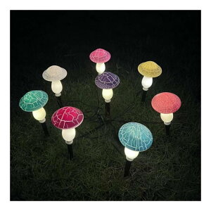 K[fCgO \[[CgLmR K[f CgO̒̑̂߂̃\[[}bV[XgPxLEDXg IP65 h n C~l[VCgŐ   Ԓd