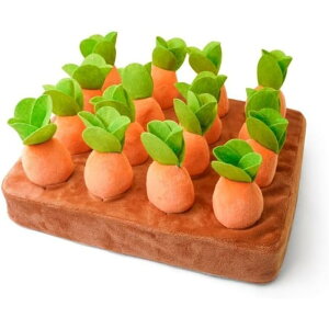 ɂ񂶂̂AmߋA1Ύ2Ύւ̃v[gAʕ̔FmA_̂ɂ񂶂ABAw̌PAxr[Mtg (jW9{) [sAi]