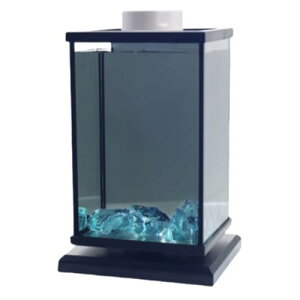 x^A߉\LEDCgfXNgbv~jZbgAƒItBX̑ɍœK (ubN,X)