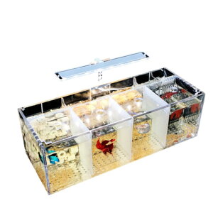 ANfށA~jfXNgbvx^ZbgAEH[^[|vLEDCgAȏzԃ^NAaC̋̊ut (4Obh)