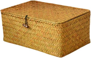 ҂݂ ق VRf [ Wt [oXPbg ho  [P[X ҂܂ꂽ [JS  a  Gݎ[ [ H|i ƒp (29*19*12 i0.27kg))